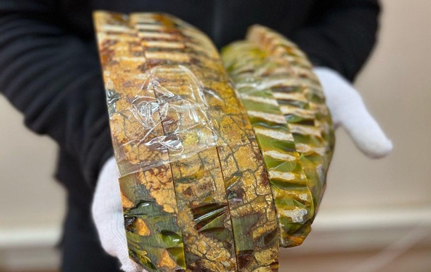 Таможенники остановили контрабанду зубов мамонтов