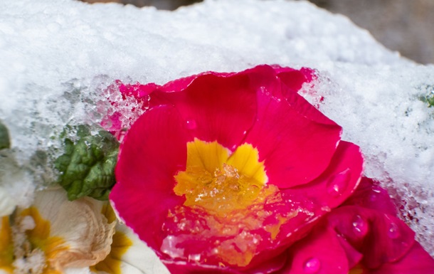 Синоптики прогнозують потепління до +17 градусів