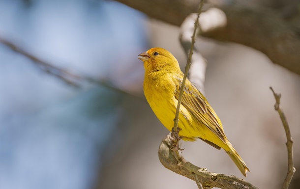 Праздники 4 марта 2025 года: именины, приметы