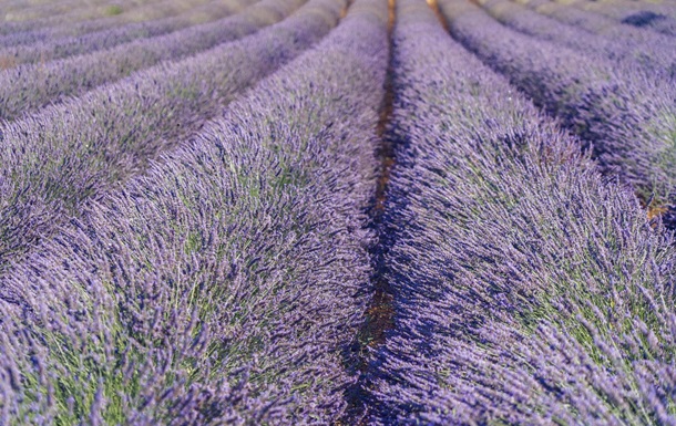 Свята 7 березня 2025 року: що не можна робити в цей день