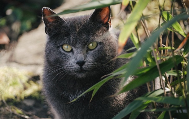 Свята 10 березня 2025 року: що не можна робити в цей день