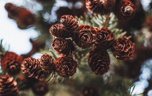 Гороскоп для знаков зодиака на 11 марта 2025 года