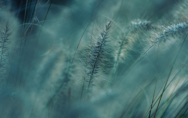 Праздники 12 марта 2025 года: именины, приметы