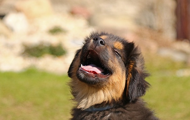 Гороскоп для знаків зодіаку на 13 березня 2025 року