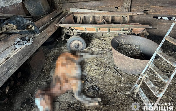 На Хмельнитчине мужчина жестоко обращался с десятками лошадей