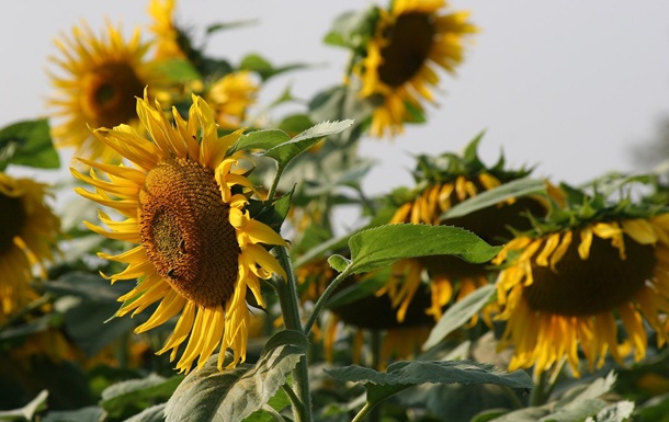 Праздники 31 марта 2025 года: что нельзя делать в этот день