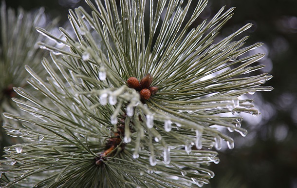 В Україну насуваються заморозки та мокрий сніг