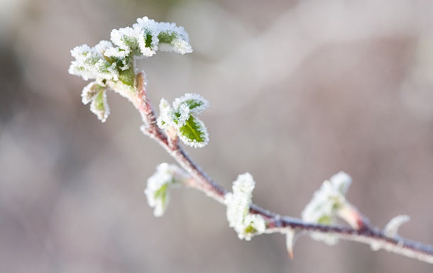В Україні очікуються заморозки і мокрий сніг