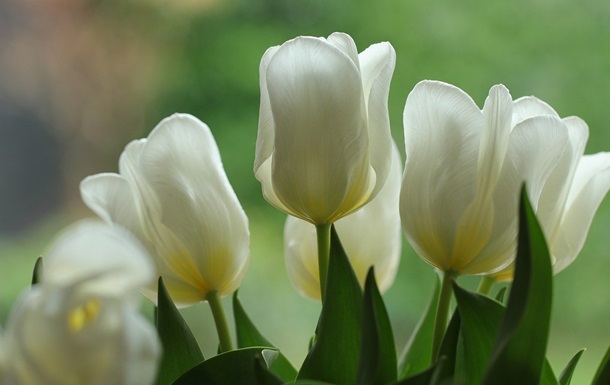 Гороскоп для знаков зодиака на 9 апреля 2025 года