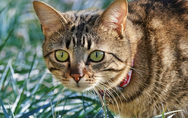 Праздники 9 апреля 2025 года: именины, приметы