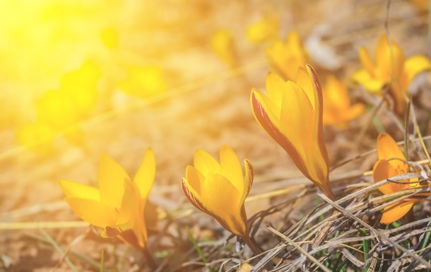 На выходные синоптики прогнозируют дожди и ночные заморозки