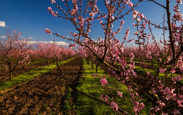 В Україні температура повітря прогріється до +20°C