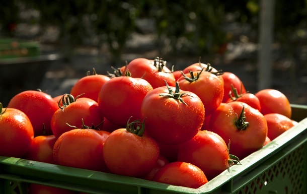 США введут 21% пошлины на томаты из Мексики