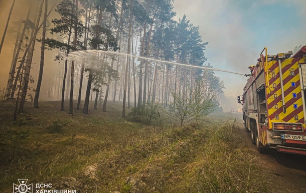 На Харьковщине масштабный лесной пожар