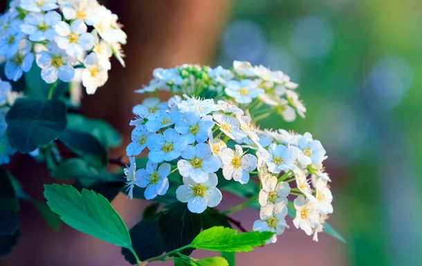 Тепло и грозы: прогноз погоды на 22-23 апреля