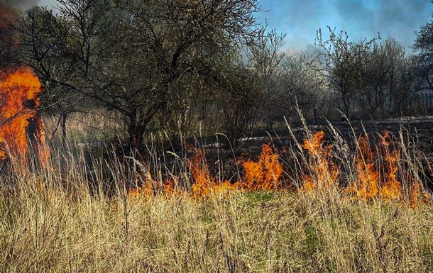 Пожежа сухостою на Львівщині: згоріло 11 дачних будинків