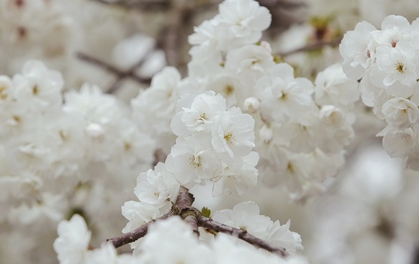 Гороскоп для знаков зодиака на 25 апреля 2025 года