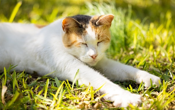 Гороскоп для знаков зодиака на выходные 26-27 апреля 2025 года