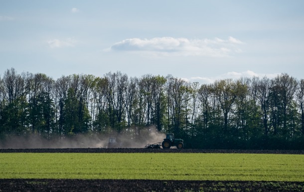 В Украине началась посевная гречки