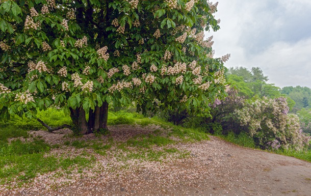 Україну накриють нічні заморозки