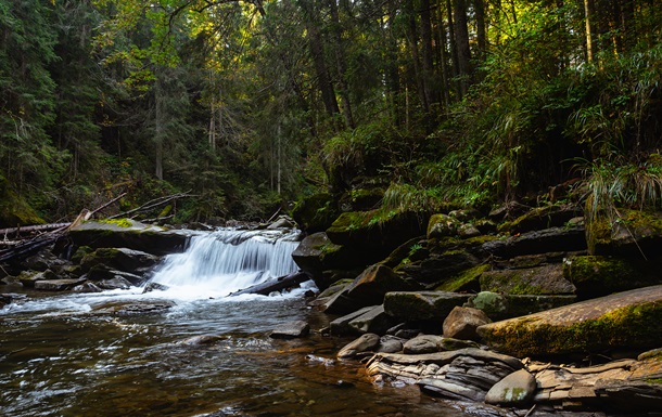 В Украине увеличат штрафы за ущерб заповедникам в 50 раз