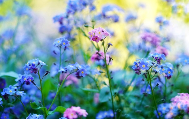 Праздники 30 апреля 2025 года: именины, приметы