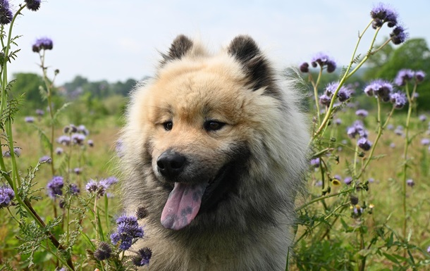 Гороскоп для знаков зодиака на 1 мая 2025 года