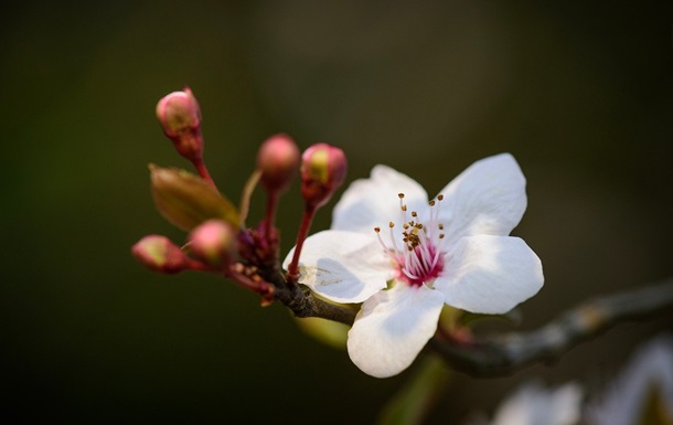 Свята 2 травня 2025 року: іменини, прикмети