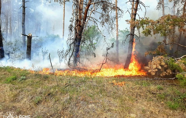 На Харьковщине ликвидируют 11 лесных пожаров