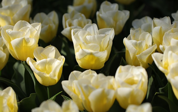 Гороскоп для знаков зодиака на 6 мая 2025 года