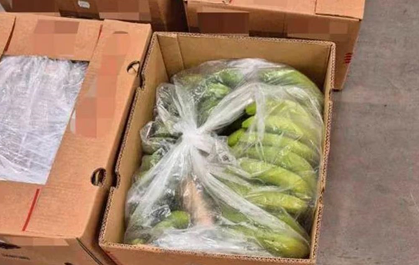 В Норвегии изъяли крупнейшую за два года партию кокаина в бананах