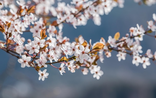 Свята 6 травня 2025 року: іменини, прикмети