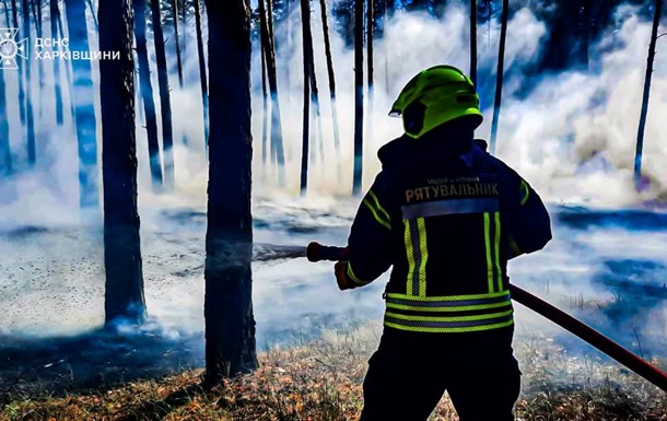 Спасатели ликвидировали пять лесных пожаров в Харьковской области
