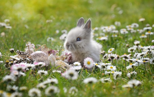 Гороскоп для знаков зодиака на 8 мая 2025 года