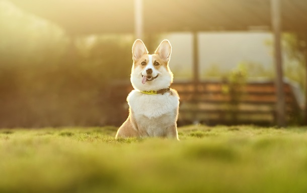 Гороскоп для знаков зодиака на 9 мая 2025 года