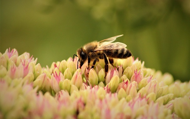 Свята 12 травня 2025 року: що не можна робити в цей день