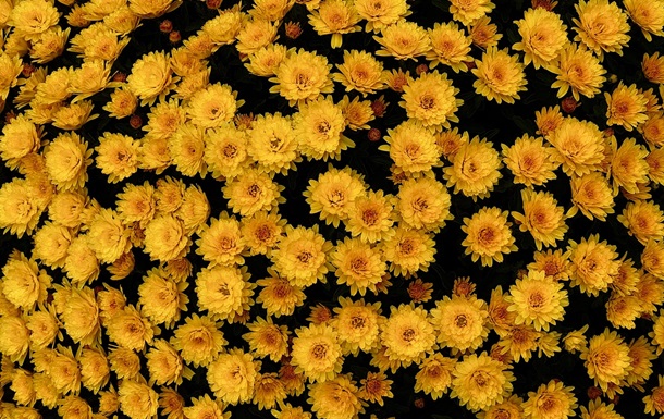 Свята 13 травня 2025 року: що не можна робити в цей день