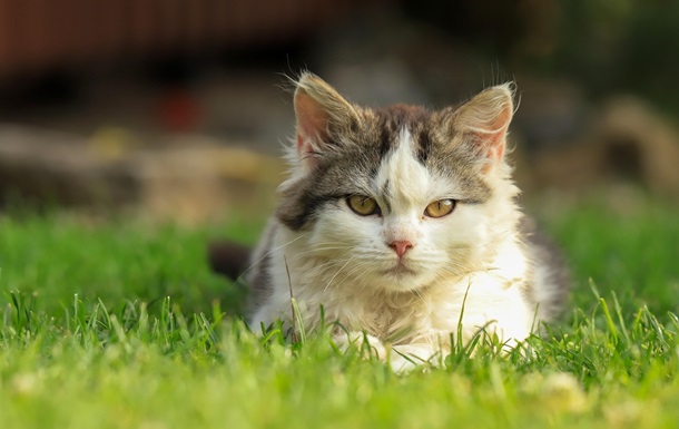 Свята 15 травня 2025 року: іменини, прикмети