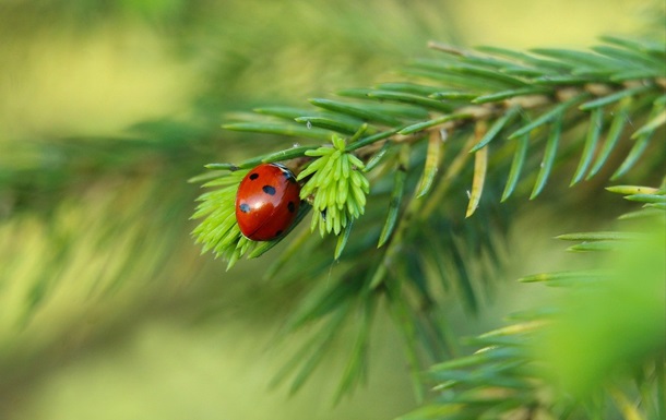 Гороскоп для знаков зодиака на выходные 17-18 мая 2025 года