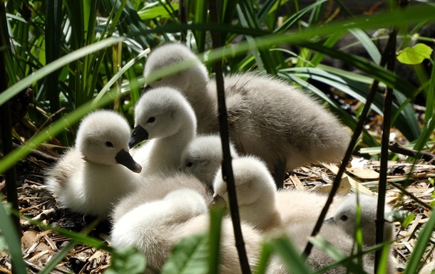 Свята 21 травня 2025 року: іменини, прикмети