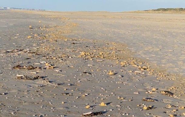 В Германии побережье засыпало кусками парафина