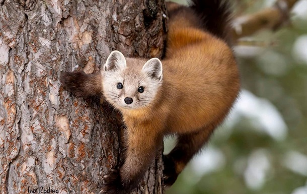 Праздники 23 мая 2025 года: что нельзя делать в этот день