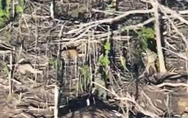 Зафиксировано 150 казней украинских военных в плену у россиян - ГУР