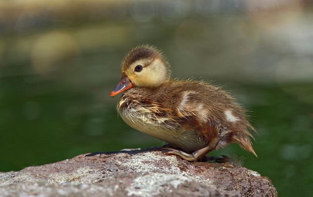 Гороскоп для всіх знаків зодіаку на 30 травня 2025 року