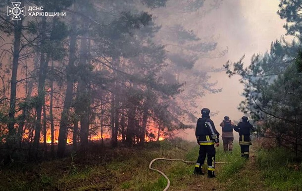 На Харківщині локалізували масштабну лісову пожежу
