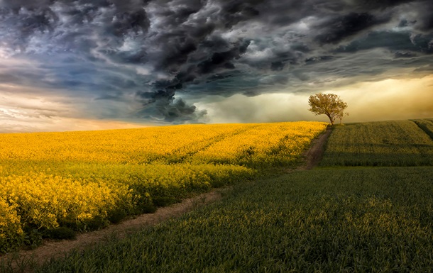 Китай создает  искусственные дожди  над засушливыми регионами