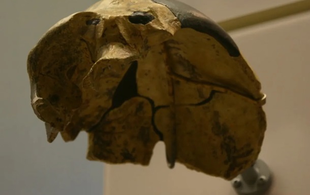 У Китаї знайшли череп, який не належить жодному з відомих видів людини