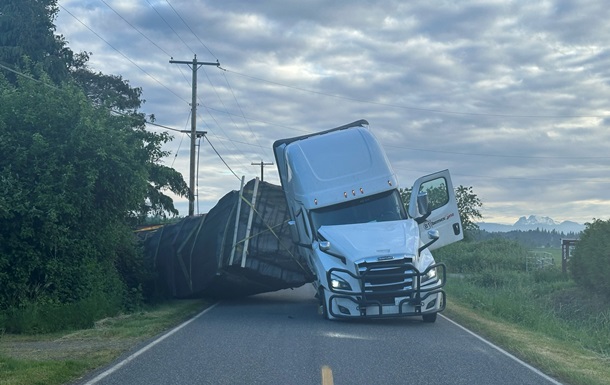 В США из перевернувшейся фуры вылетели 250 млн пчел