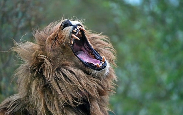 Гороскоп для всех знаков зодиака на 4 июня 2025 года