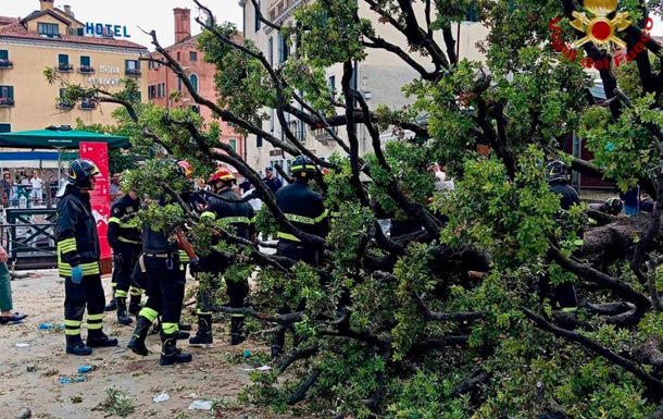 В центре Венеции 50-летнее дерево упало на туристов